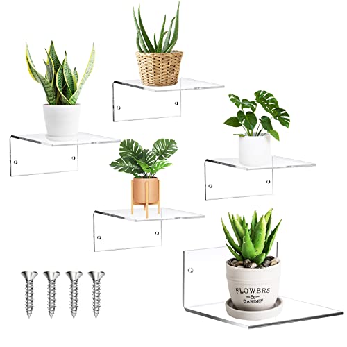 Yalikop 5 Pieces Small Floating Shelves for Wall 4'' Acrylic Mini Wall Shelf Acrylic Display Shelf Clear Hanging Shelves Room Decor for Bedroom, Bathroom, Living Room, Office - color: Clear