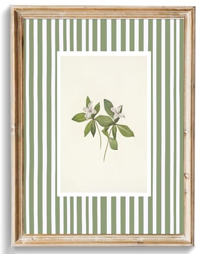 uniro Vintage Botanical Wall Art Prints, Vintage Floral Canvas Art Prints Painting, Pastel Green Stripe Flower Print for Cottage Wall Decor, Bedroom, Desktop Decor - (8" x 10"-UNFRAMED) - color: Pastel Green Stripe