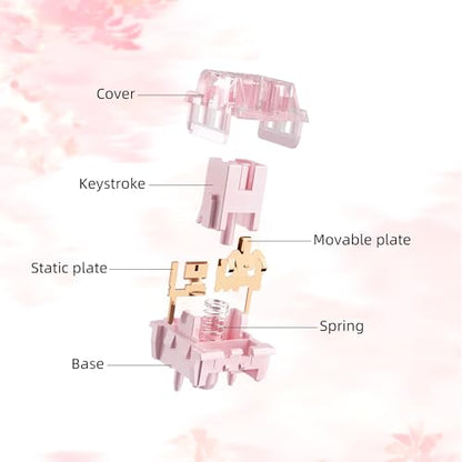 Zhouwang Pink Keyboard Switches,5-Pin Pre-Lubed with Wall Dustproof Tactile Switches for MX Mechanical Gaming Keyboard(Pink,36PCS) - color: Pink, size: 36Pcs