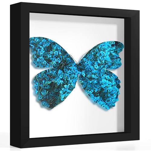 Picrit 10x10 Shadow Box Frame, Display Case Box with High Definition Real Glass and Black Back for Memorabilia, Baby Items, Wedding Memories, Crafts, Tickets and Photos, Black - color: Black, size: 10x10