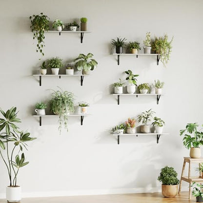 WOPITUES Floating Shelves for Wall 40″W x 8″D, Long Wall Mounted Shelves Set of 3, Wood Book Shelves Decor, Farmhouse Display Shelf for Bedroom, Living Room, Laundry Room, Kitchen, Bathroom, White