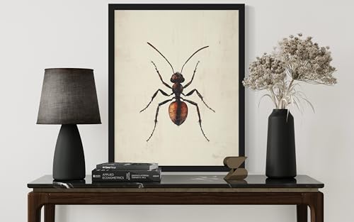 Ant Wall Art Print Poster, Insect Posters Prints Enntomological Painting Artwork 221 (Ant, 18 x 24 inches, Unframed) - color: Ant, size: 24"L x 18"W