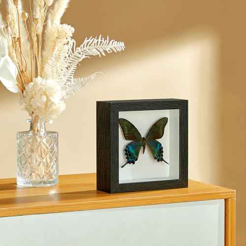 5x5 Shadow Box Picture Frame Display Case with Soft Linen Back-Thickened Panel,Small Mini Black Deep Shadow Memory Box Frame 5x5 for Insect Display Pet Photo Memorial Flower Craft - color: Black + Thickened Panel + Foam Packaging, size: 5x5