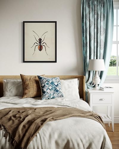 Ant Wall Art Print Poster, Insect Posters Prints Enntomological Painting Artwork 221 (Ant, 16 x 20 inches, Unframed) - color: Ant, size: 20"L x 16"W