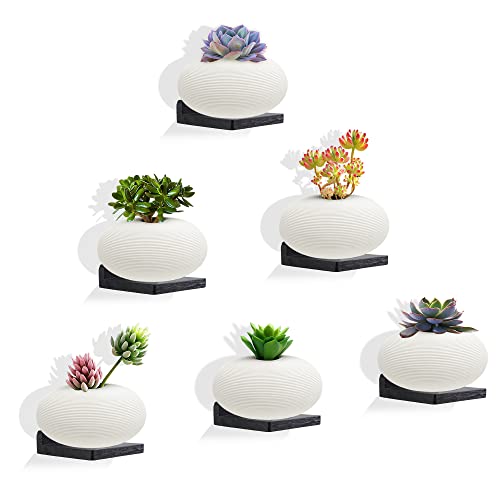 Small Floating Shelf, Set of 6 Black Shelf for Wall Decor Storage Wall Mounted Small Shelf for Bedroom Living Room Bathroom Kitchen -5x5 Inch - color: Black, size: 5 Inch-6 Pcs
