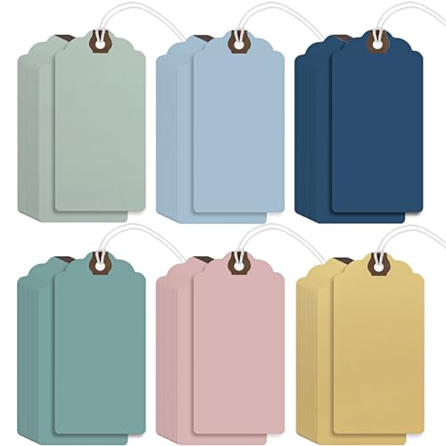 Outus 60 Pcs 4 3/4-in x 2 3/8-in Blank Large Paper Gift Tags with String and Reinforced Eyelet Wire Writable Price Tags Shipping Labels Inventory Labels(Pastel Color) - color: Pastel Color, size: Solid Style