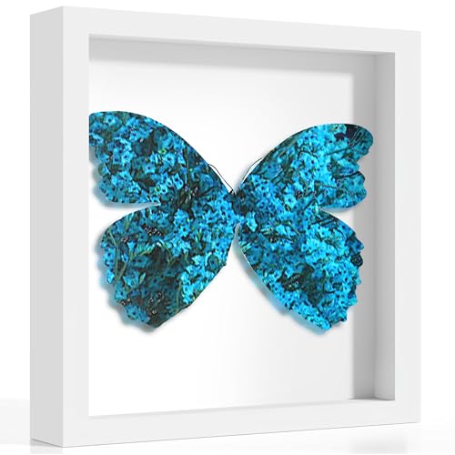 Picrit 10x10 Shadow Box Frame, Display Case Box with High Definition Real Glass and Black Back for Memorabilia, Baby Items, Wedding Memories, Crafts, Tickets and Photos, White - color: White, size: 10x10