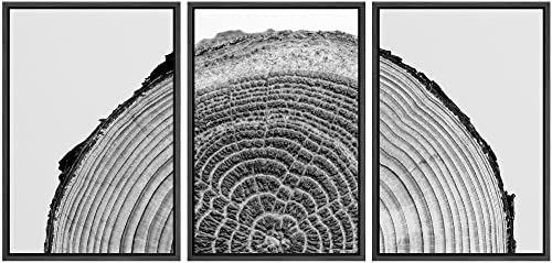 NWT Framed Canvas Print Wall Art Set Black White High Contrast Wood Tree Rings Nature Wilderness Photography Modern Art Rustic Scenic Relax/Calm for Living Room, Bedroom, Office - 16"x24"x3 Black - color: A02-2203-slm15, size: 16" x 24" x 3 Panels BLACK