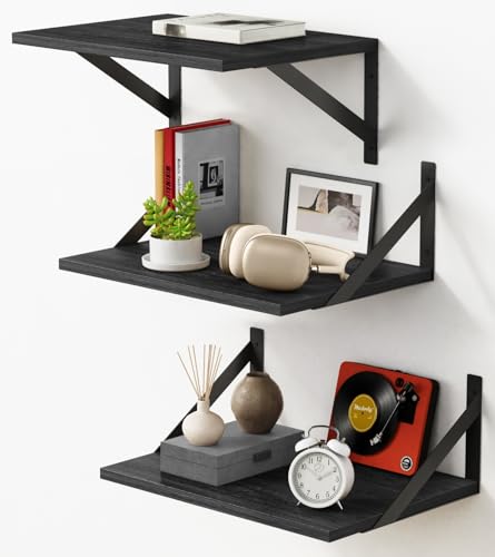 Forbena 12 Inch Deep Floating Shelves for Wall, Wide Black Wall Mounted Shelves for Bedroom Office Books Plants, Large Hanging Shelf for Living Room Bathroom Kitchen Closet Pantry Storage (3-Pack) - color: Black, size: 16 x 12 Inch