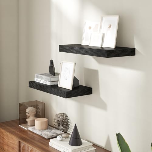 20 Inch Floating Shelves for Wall, 8 Inch Deep Floating Shelf for Storage & Display, Rustic Wall Mounted Shelf with Invisible Brackets for Living Room, Kitchen, Bathroom, Home Decor, Set of 2, Black - color: Black, size: 20 Inch, Set of 2