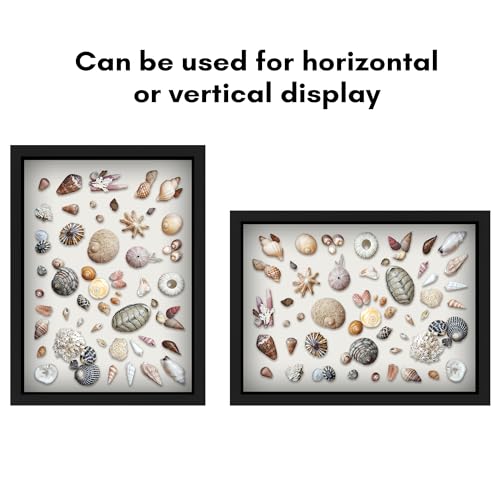 Americanflat 12x16 Shadow Box Frame with Polished Plexiglass - Silhouette Collection - Large Shadow Box Display Case for Tabletop and Wall Display - Black with Soft Felt Back - color: Black, size: 12x16