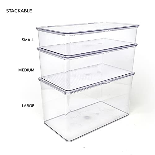 Isaac Jacobs Small Stackable Organizer Bin (10.75” x 6.5” x 2.4”) w Hinged Lid Clear Storage Box Home Office School Fridge Bathroom Kitchen Pantry Container BPAFree Food Safe (Small Clear) (Pack of 2) - size: Small (Pack of 2)