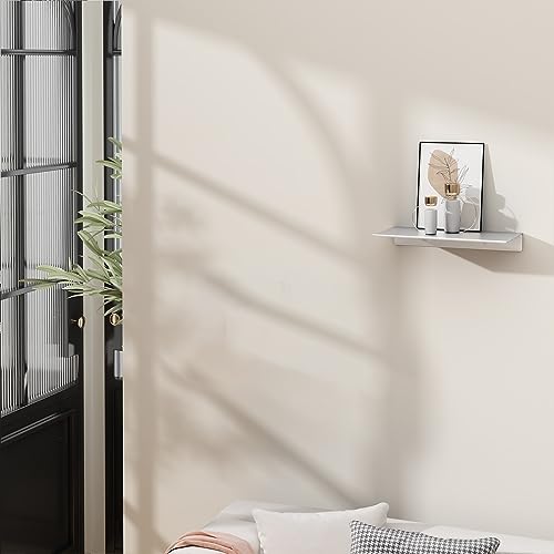 Danpoo 8 inch Small Floating Shelf for Wall Organizer & Storage, Mini Display Shelf, Metal Wall Shelf for Bathroom, Living Room, Kitchen, Bedroom(Silver) - color: Silver, size: 8 in