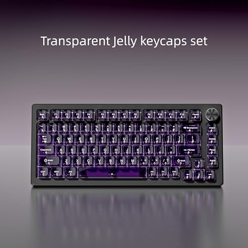 dagaladoo Dark Purple Clear Keycaps,Glossy Jelly Key caps tranlucent Set | Transparent keyboard keycaps ceramic style,MDA Profile,115 keys PC keycaps for Mechanical Keyboard with MX Switches - color: Dark Purple