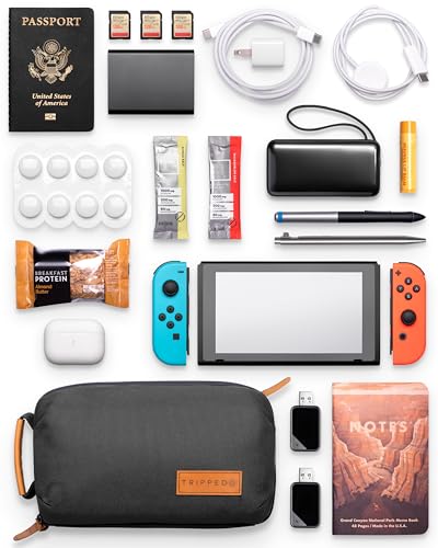 Tech Bag Organizer - Small Electronics Organizer Pouch for Travel - Premium Travel Case with Leather Accents - Mesh Pocket for Cables, Cords and Chargers (Black) - color: Black
