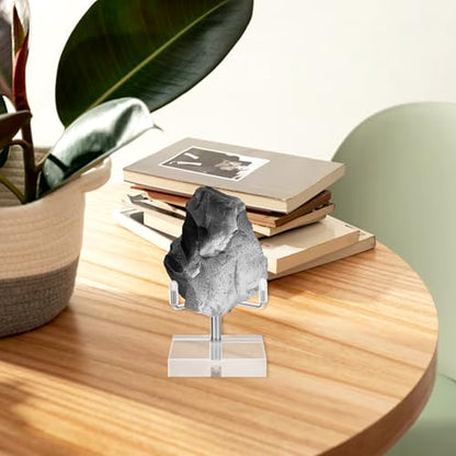 Xthrotsenk 2" Rock Crystal Stands for Display Small Plate Stand Clear Small Easel Stands Adjustable Plate Holder Silver Decorative Plates Display Stand for Mineral Agate