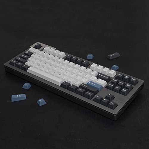 Cherry Arctic Profile Double Shot Keycaps Set of 173 for ANSI/ISO 60, 68, 75, 98 and 108 Layout Cherry Mx Switches, Mechanical Gaming Keyboard - color: arctic keyboard