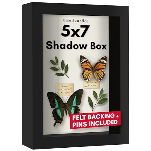 Americanflat 5x7 Shadow Box Frame with Shatter-Resistant Glass - Silhouette Collection - Small Shadow Box Display Case for Tabletop and Wall Display - Black with Soft Felt Back - color: Black, size: 5x7