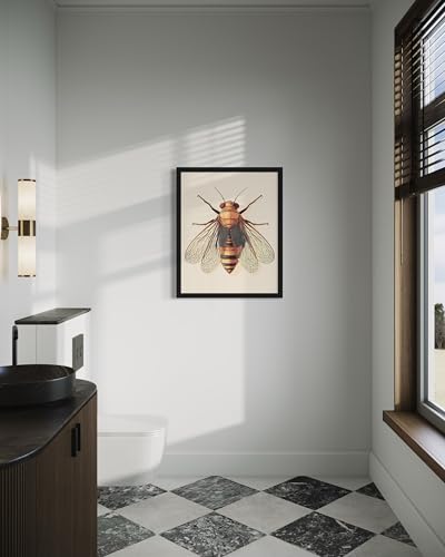 Cicada Wall Art Print Poster, Insect Posters Prints Enntomological Painting Artwork 221 (Cicada, 20" L x 16" W, Unframed) - color: Cicada, size: 20"L x 16"W