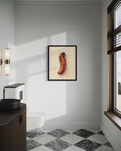 Caterpillar Wall Art Print Poster, Insect Posters Prints Enntomological Painting Artwork 221 (Caterpillar, 16 x 20 inches, Unframed) - color: Caterpillar, size: 20"L x 16"W