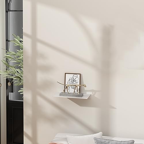 Danpoo 8 inch White Small Floating Shelf for Wall Organizer & Storage, Mini Display Shelf, Metal Wall Shelf for Bathroom, Living Room, Kitchen, Bedroom - color: White, size: 8 in