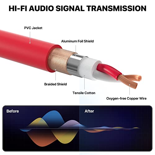 EBXYA XLR Cable 10 ft 10 Packs - Premium Balanced DMX Cable, XLR Male to Female Microphone Cable - color: 10 Colors, size: 10ft