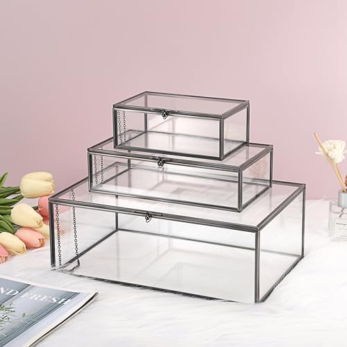 Hipiwe Vintage Glass Box with Lid - Rectangle Jewelry Display Organizer Box Black Vanity Lidded Box Home Decor Accent Decorative Box for Keepsakes Trinket Rings,X-Large - color: Black, size: X-Large