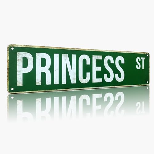 PRINCESS ST Street Sign, Metal Decor for Girls Bedroom & Nursery, 4x15 Inch Rustproof Aluminum Wall Art for Playroom - Princess Party Decorations & Gifts - color: Princess