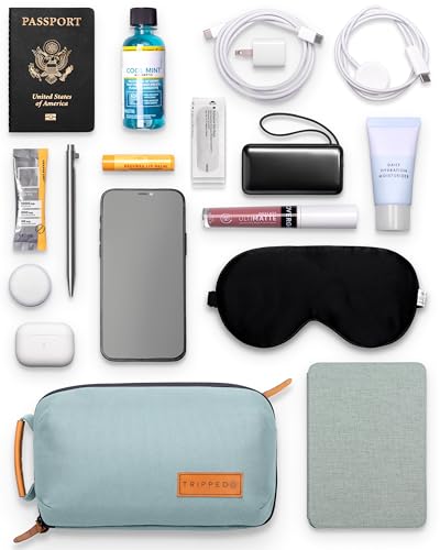 Tech Bag Organizer - Small Electronics Organizer Pouch for Travel - Premium Travel Case with Leather Accents - Mesh Pocket for Cables, Cords and Chargers (Dusty Teal) - color: Dusty Teal