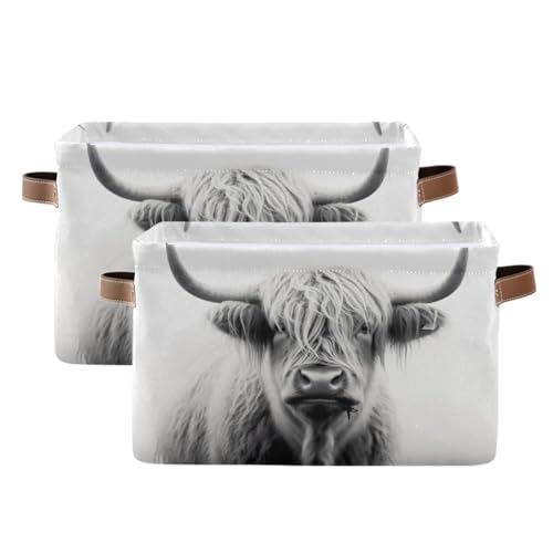 Storage Basket Highland Cow Storage Bin Cube with Handles Foldable Storage Baskets for Shelves Living Room Home Decor 1PC - color: M, size: 1PCS