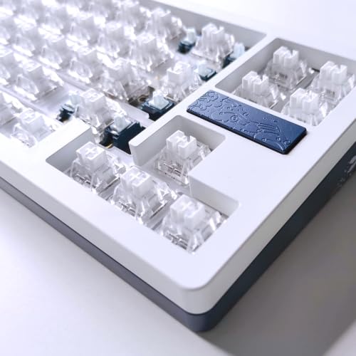OOCTPK Chilkey WS Quartz Linear Switch 5-Pin Hotswap Pre-Lubed, PC Housing for RGB, Mechanical Keyboard Switch for DIY Custom Builds, Keyboard Switches 5 Pins PCB Mount Lubed Switches Clear (35pcs) - color: WS Switches-Quartz Clear-15pcs