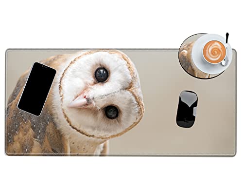 Large Mouse Pad 24x12 inch Desk Mats on Top of Desks Pad Gaming Mousepad Owl Long Extended Desk Protector Mat Big Laptop Mat for Wireless Mouse Non Slip Work Computer - color: Owl, size: 24''X12''