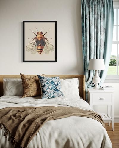 Cicada Wall Art Print Poster, Insect Posters Prints Enntomological Painting Artwork 221 (Cicada, 20" L x 16" W, Unframed) - color: Cicada, size: 20"L x 16"W