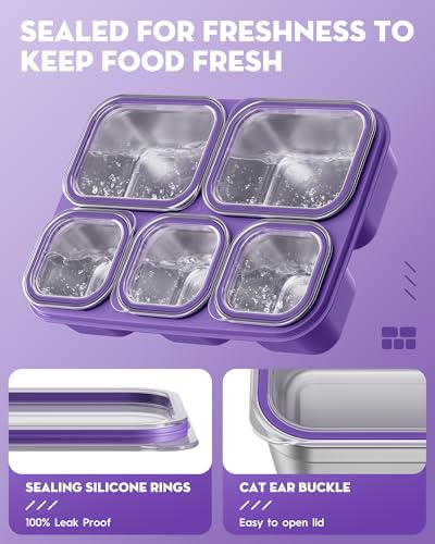 BiuLeon Snackle Box Containers, Stainless Steel 5 Compartments Divided Serving Tray with Lid, Removable LeakProof Portable Bento Box for Fruit Candy Nuts Food - School, Picnic and Travel（Purple） - color: Purple
