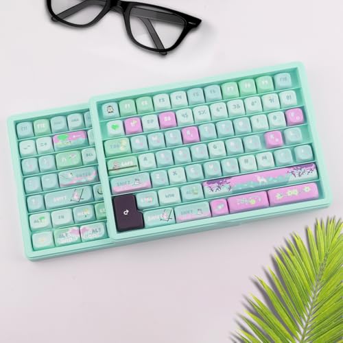 Hyekit Keycaps Storage Box, 3th Floor PBT Dustproof Display Case, 180 Keys Visible Top Cover Keycaps Collection Box for Cherry MOA XDA SA OEM MSA DSA Mao Profile Mechanical Keyboard Keycap (Green)