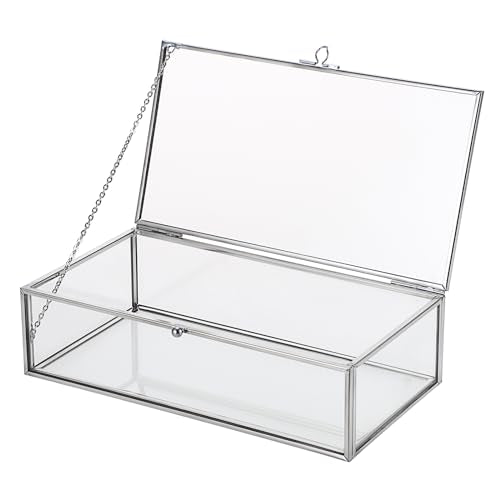 Hipiwe Glass Keepsake Display and Jewelry Organizer With Lid - Silver Decorative Clear Rectangle Storage for Trinket Perfume Collection - Gift for Birthday Anniversaries, Large - color: Silver, size: Large
