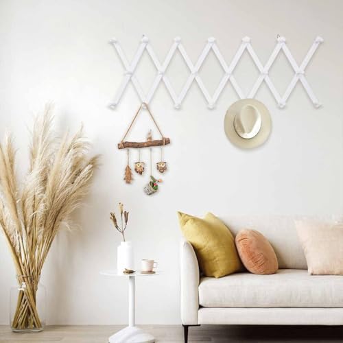 SCUNDA Wall Rack with 20 Hooks, Wooden Wall Expandable Coat Rack for Coat, Hats, Baseball Caps, Coffee Mug, Jewelry(White) - color: White, size: 20 Hooks