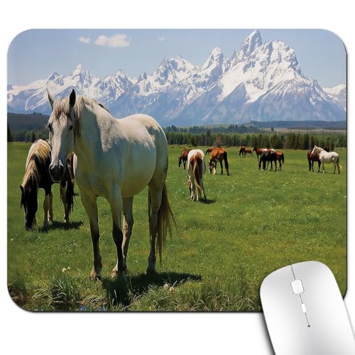 Horses Grazing Mouse Pad, National Park Landscape Lush Meadow Desk Mat | Nature Snowy Idyllic Mountain Peaks, Anti-Slip Rubber Base, Silky Smooth Surface, Cute Office/Gaming Mousepad - color: Color_CNt