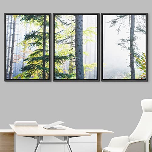 NWT Framed Canvas Print Wall Art Set Misty Fog Winter Tree Forest Landscape Nature Wilderness Photography Modern Art Realism Decorative Rustic for Living Room, Bedroom, Office - 16"x24"x3 Black - color: A02-2210-yuk27, size: 16" x 24" x 3 Panels BLACK