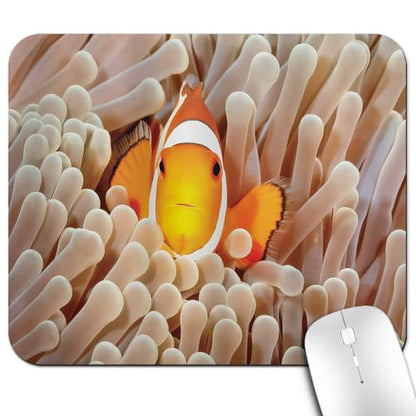 Cute Clown Fish Mouse Pad, Marine Wildlife Swimming in Tentacles Desk Mat | Pacific Ocean Bali Indonesia Underwater Landscape, Anti-Slip Rubber Base, Silky Smooth Surface, Cute Office/Gaming Mousepad - color: Color_CNl