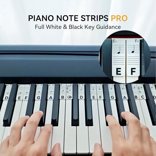 BEATBIT Piano Notes Guide for Beginner, Removable Piano Keyboard Note Labels for Learning, 88-Key Full Size, Made of Silicone, No Need Stickers, Reusable and Comes with Box (Classic Black Pro） - color: Black, size: Pro