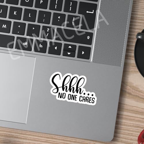 (3PCS) Shhh..No One Cares Sticker, Funny Sarcastic Stickers - Waterproof Vinyl Decal for Laptop, Tumbler, Water Bottle, Scrapbook 3" x 2.7 " - color: Shhh..no One Cares