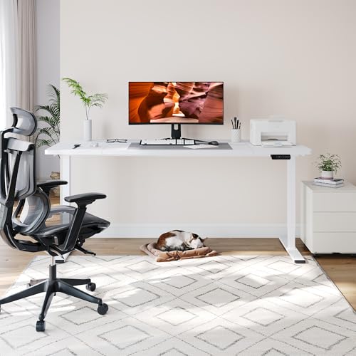Dual Motor Standing Desk, Large Stand Up Desks, 79x31 Inches Electric Sit Stand Desk, 4 Memory Preset Adjustable Height Home Office Desks(White) - color: White, size: 7931