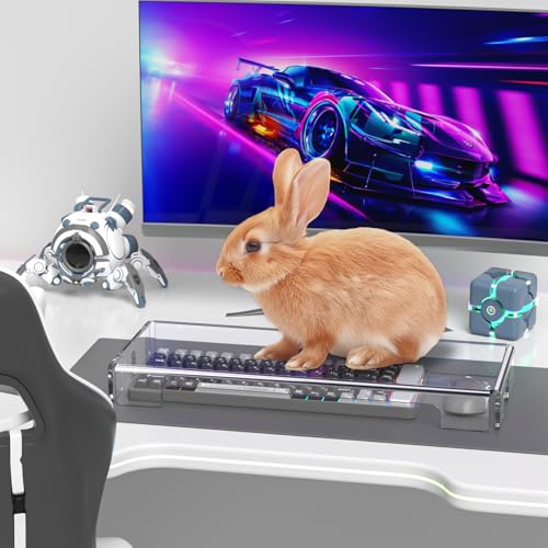 BEEGO Mechanical Computer Keyboard Cover - Clear Acrylic Keyboard Cover Keyboard Dust Cover Mechanical Keyboard Cover Full Size Keyboard Protector - color: Clear, size: 1 PCS