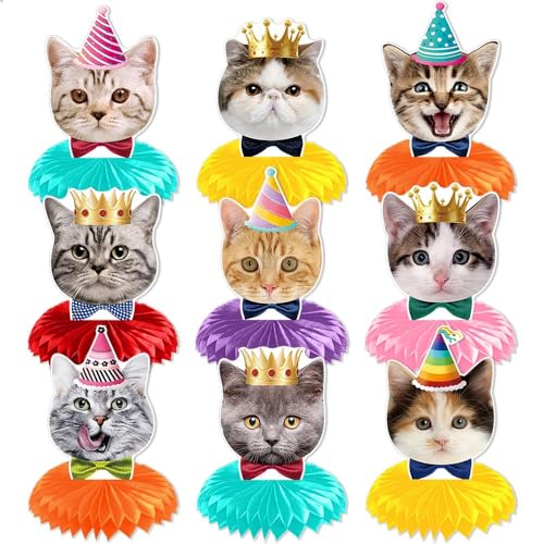 9pcs Cat Honeycomb Decorations, Cute Animal Honeycomb Centerpiece Table Decor, Birthday Party Supplies Ornaments - color: Cat