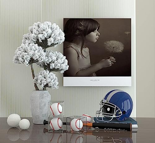 Danodoi Baseball Display Case UV Protected Acrylic Clear Baseball Holder Square Cube Ball Protector Memorabilia Autograph Display Box for Official Size Baseball - size: ONE PACK