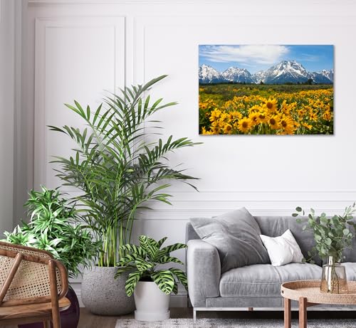 SKASNFAI Mountain Office Picture Wall Decor Sunflower Landscape Living Room Wall Art, Grand Teton Posters Print Artwork for Walls 16X24 Inch - color: Mountain 05, size: 16"L x 24"W