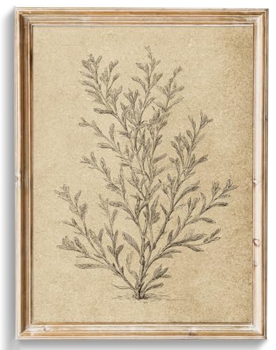 uniro Vintage Wall Art Prints, Retro Neutral Botanical Sketch Canvas Art Prints Painting, Antique Floral Wall Art Picture, Farmhouse Wall Decor Flower Drawing for Bedroom, Dining Desktop, Cottagecore Wall Decor, - (8" x 10"-UNFRAMED) - color: Neutral Bota