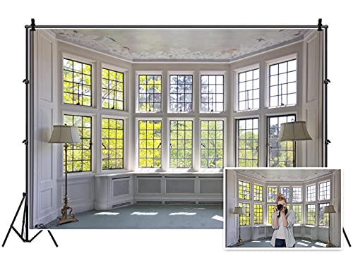 AOFOTO 6x4ft Classic French Pane Bay Windows Backdrop Luxury Retro Interior Decoration Floor Lamps Photography Background New Life Furniture Home Lifestyle Estate Modern Residence Photo Studio Props - size: 6x4ft