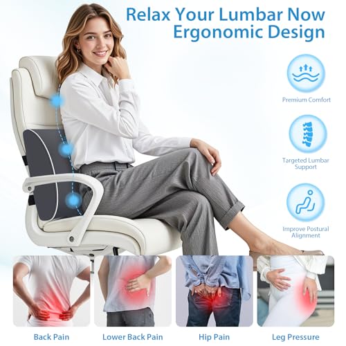 SweetSlubr Large Lumbar Support Pillow for Office Chair, Car Seats and Home Desks, Ergonomic Back Support with Double Adjustable Straps, Machine Washable Cover (Gray,XL) - color: Gray, size: X-Large